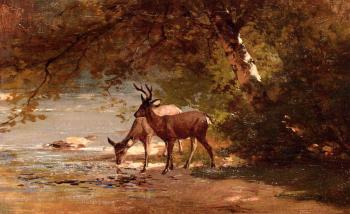 托馬斯 希爾 Deer in a Landscape